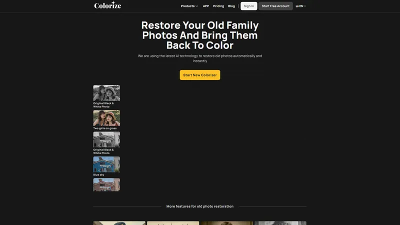 ImageColorizer