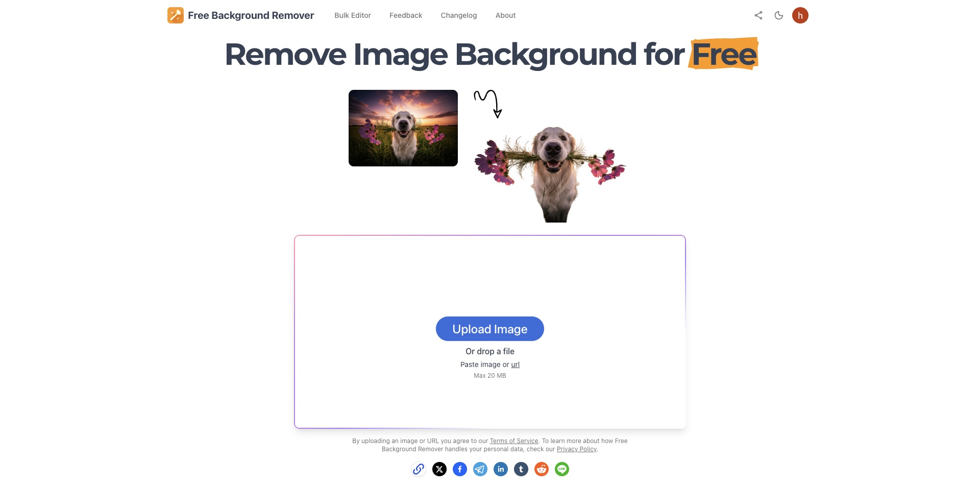 Free Background Remover